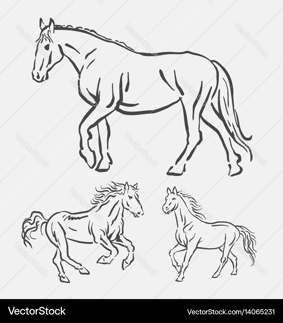 Running Horse Line Art Vector Image