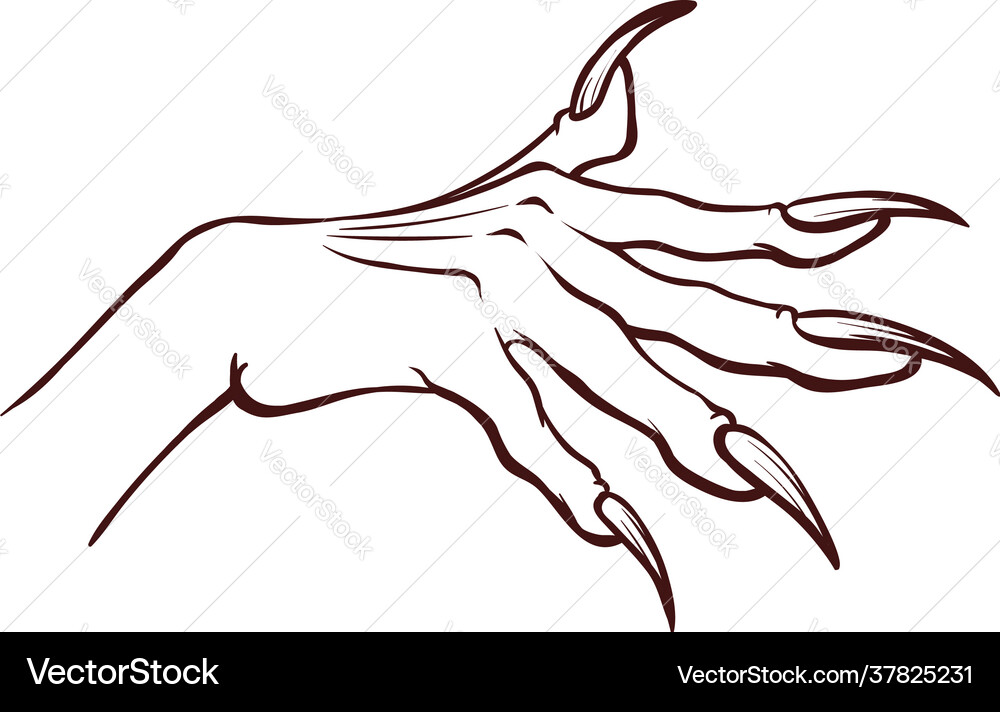 Side view open witch hand with long sharp nails vector image