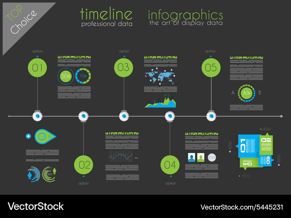 Timeline to display your data with infographic vector image