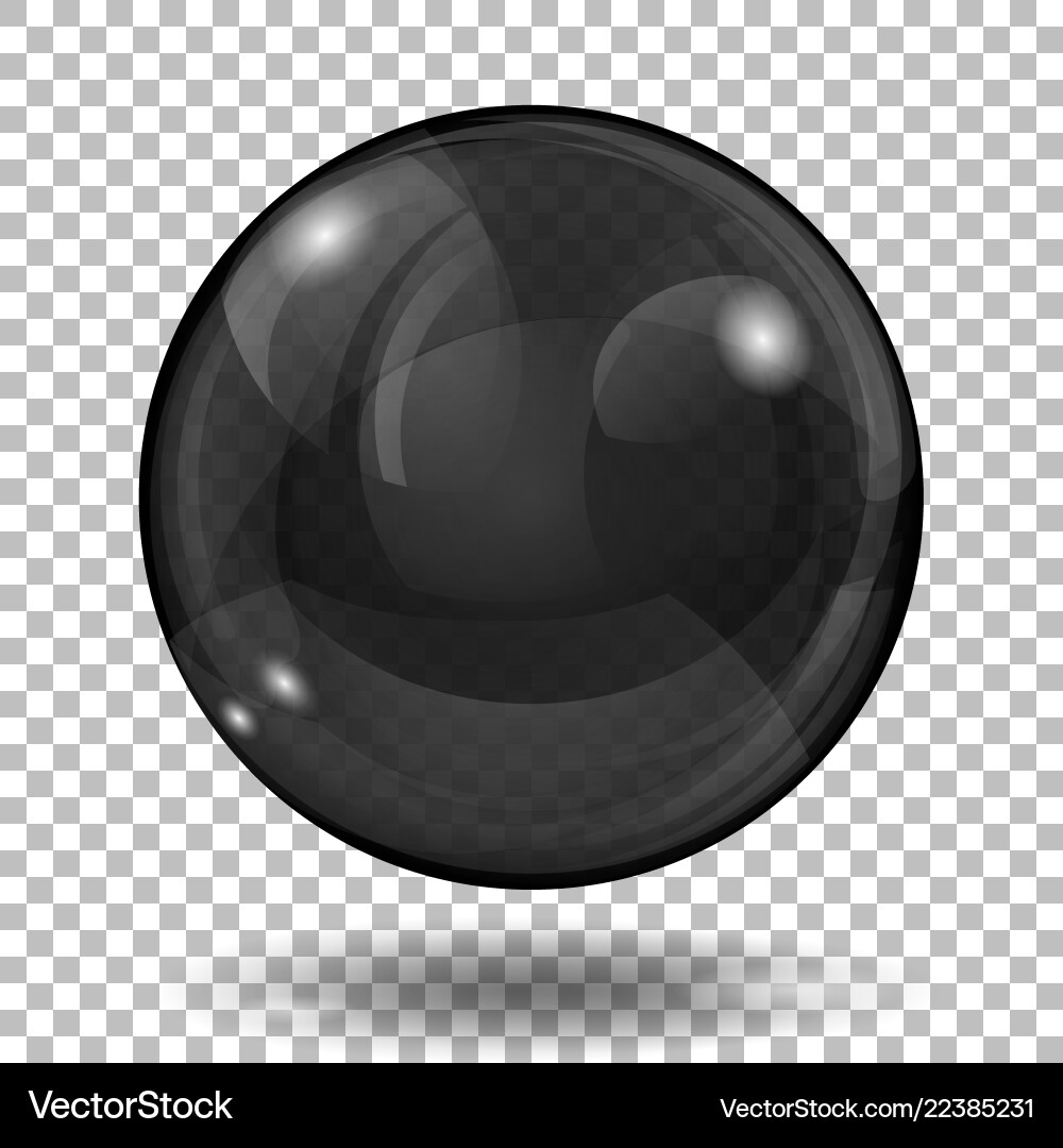 Translucent Black Sphere with Reflection Vector Image