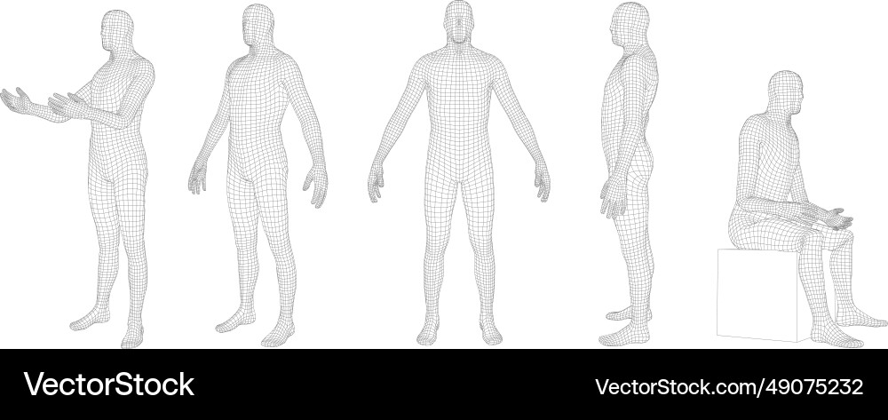 Drahtrahmen menschlicher Körper polygonal 3d mesh männlich Drahtrahmen menschlicher Körper polygonal 3d mesh männlich vektorbild