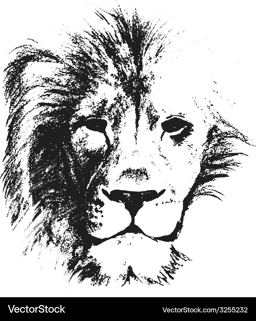 Lion head hand drawn Royalty Free Vector Image