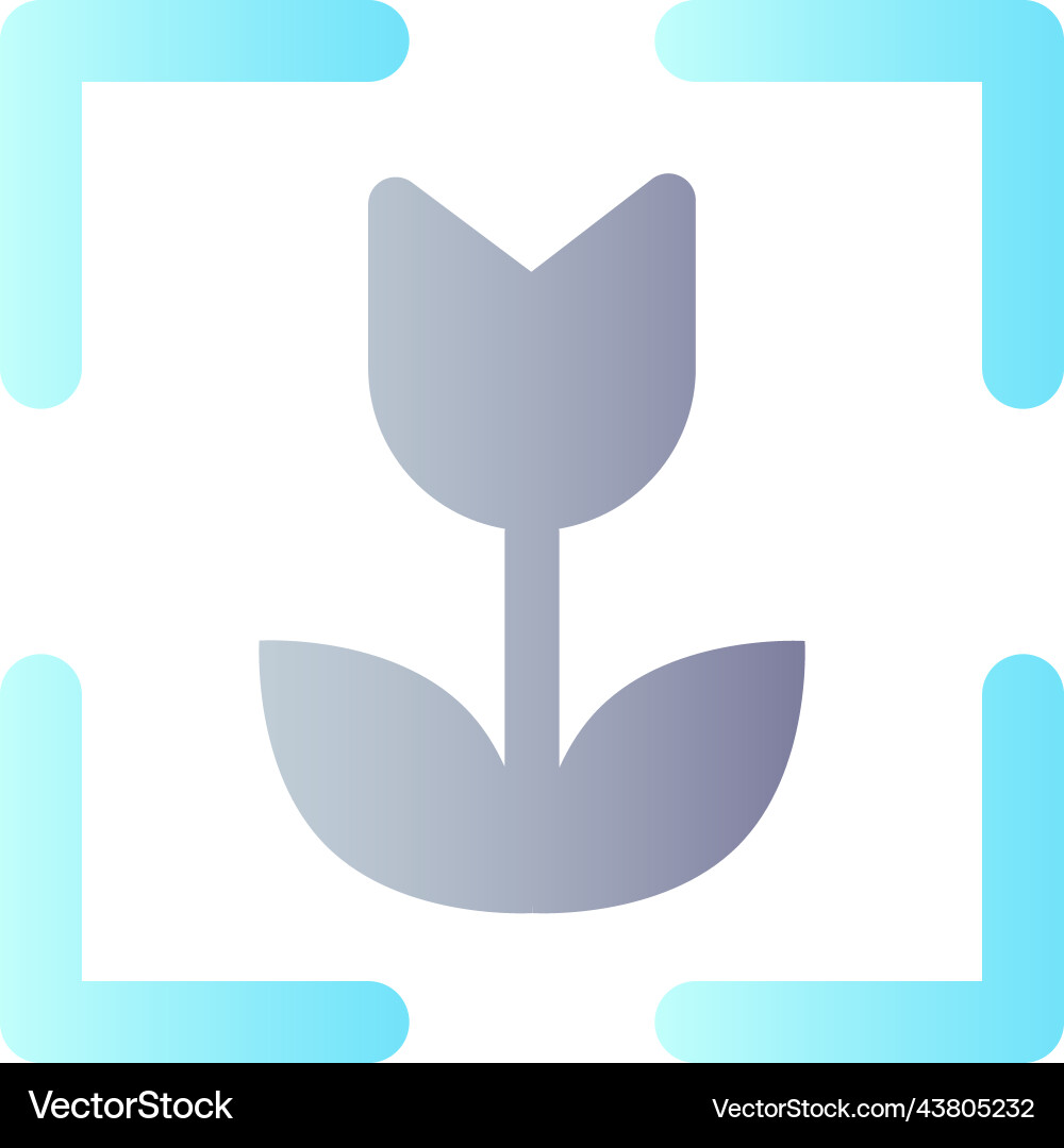 Macro photo mode flat gradient color ui icon vector image