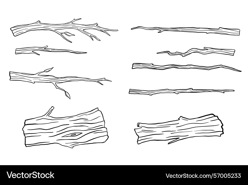 Dry tree and branch sketch isolated on white vector image