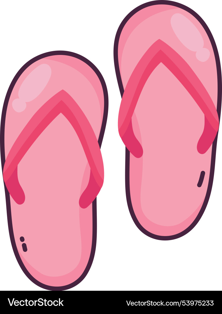 Flip flops summer clothes Royalty Free Vector Image