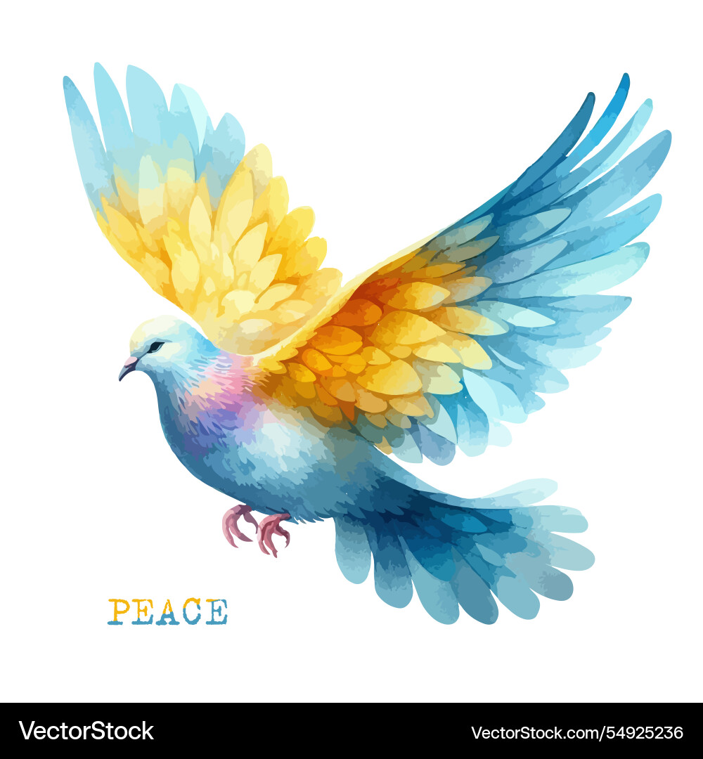 Dove of peace bird watercolor naive funky hand Dove of peace bird watercolor naive funky hand vector image