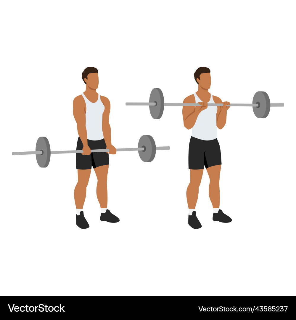 Man doing reverse barbell curl flat Man doing reverse barbell curl flat Vector Image