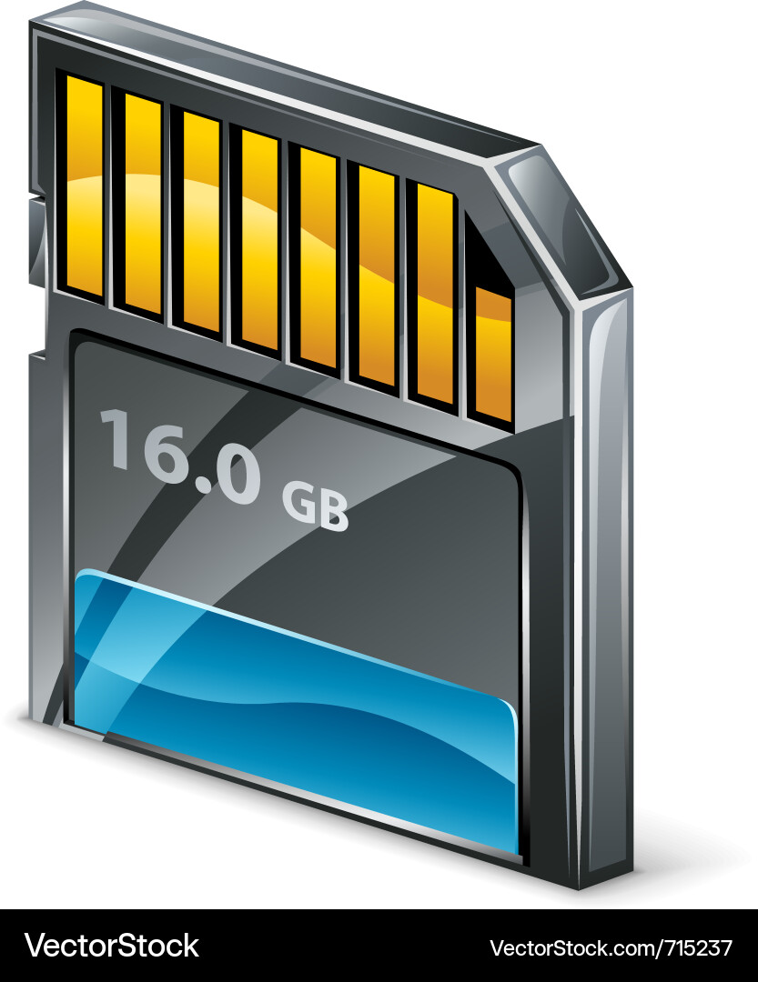 SD Memory Card vector image