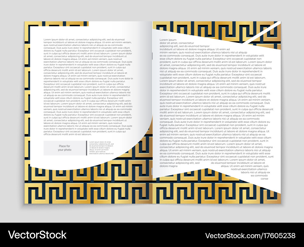 Abstract layout background set for art Vector Image