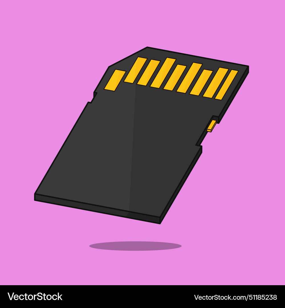 SD Memory Card Icon Vector Image