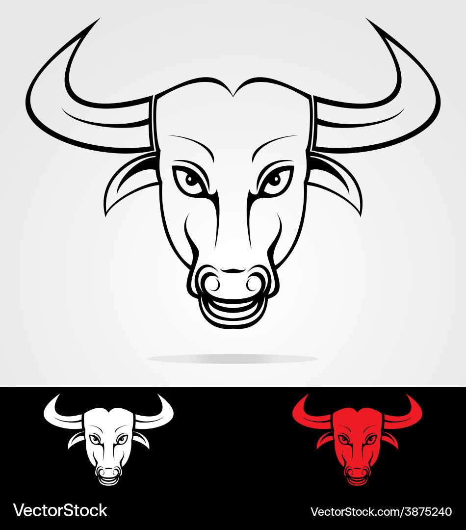Bulls head mascot Vector Image