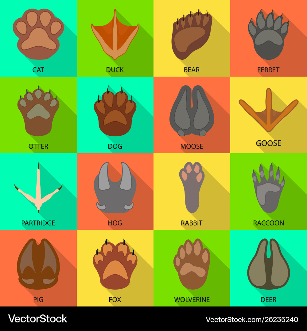 Isolated object step and walk symbol vector image