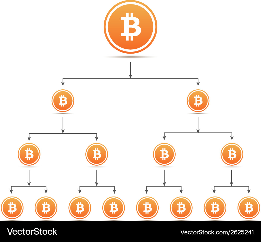 Bitcoin organization tree chart – Royalty-Free Vector | VectorStock