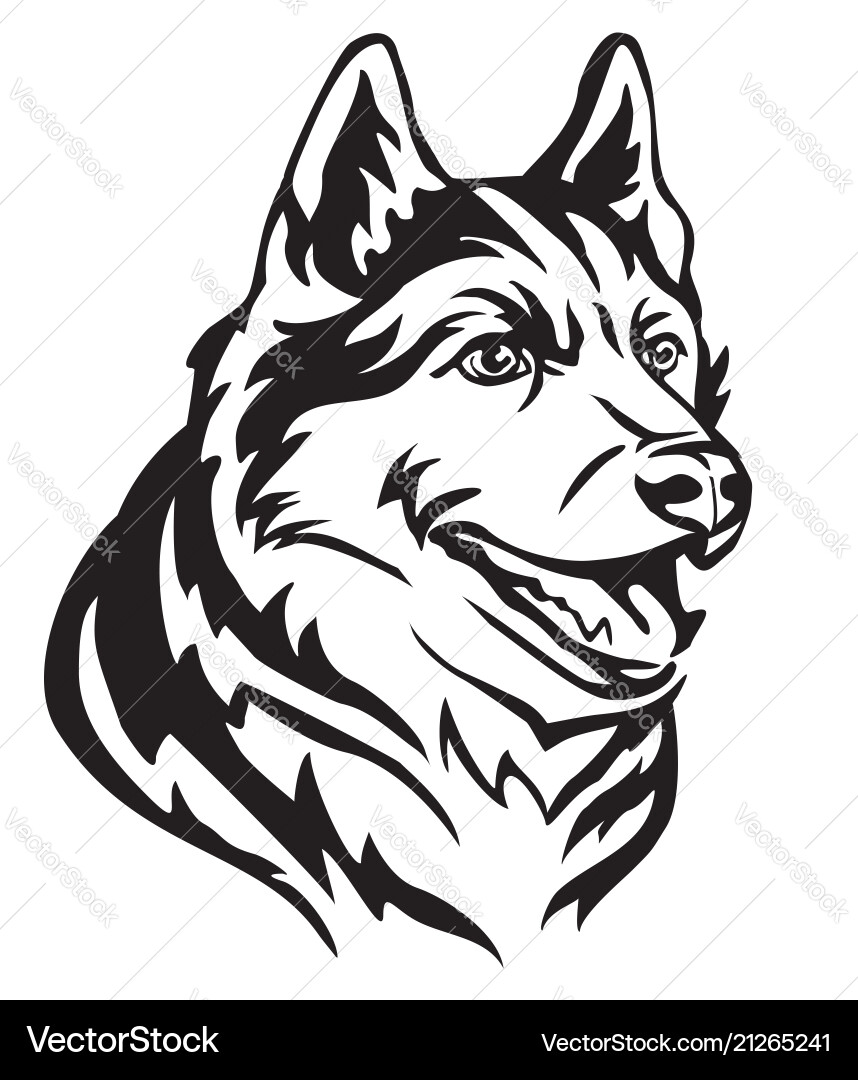 Decorative portrait of dog siberian husky Decorative portrait of dog siberian husky vector image
