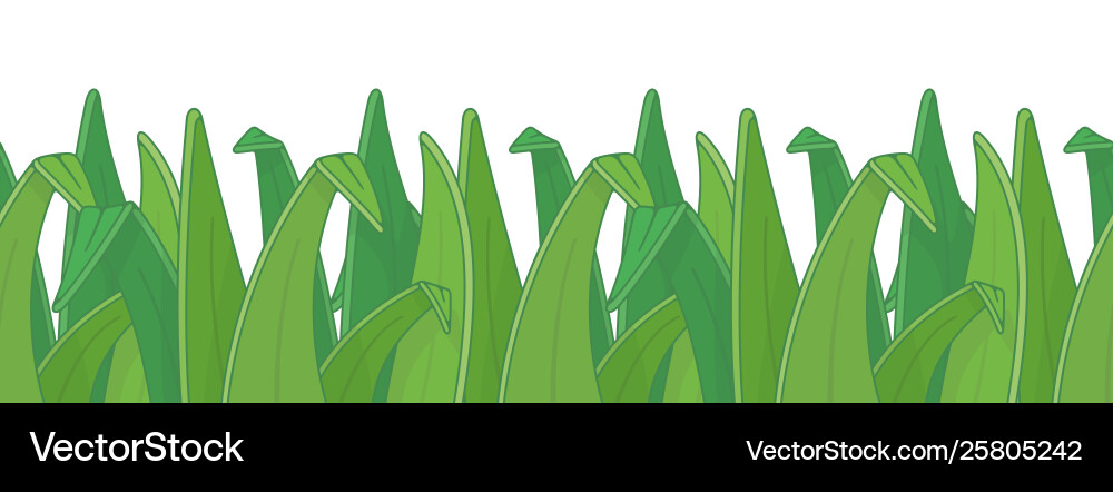 Green grass border Royalty Free Vector Image - VectorStock