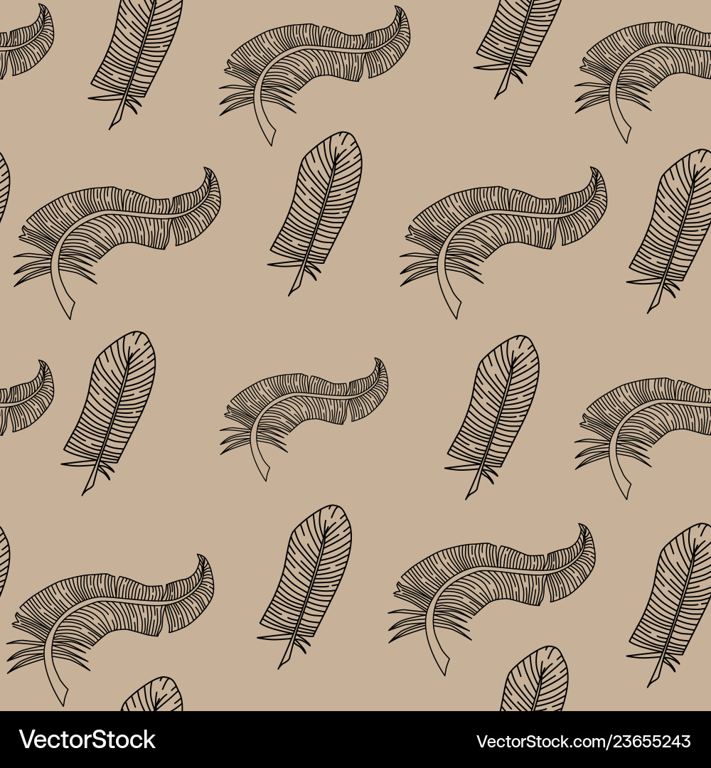 Seamless pattern feathers Seamless pattern feathers Vector Image