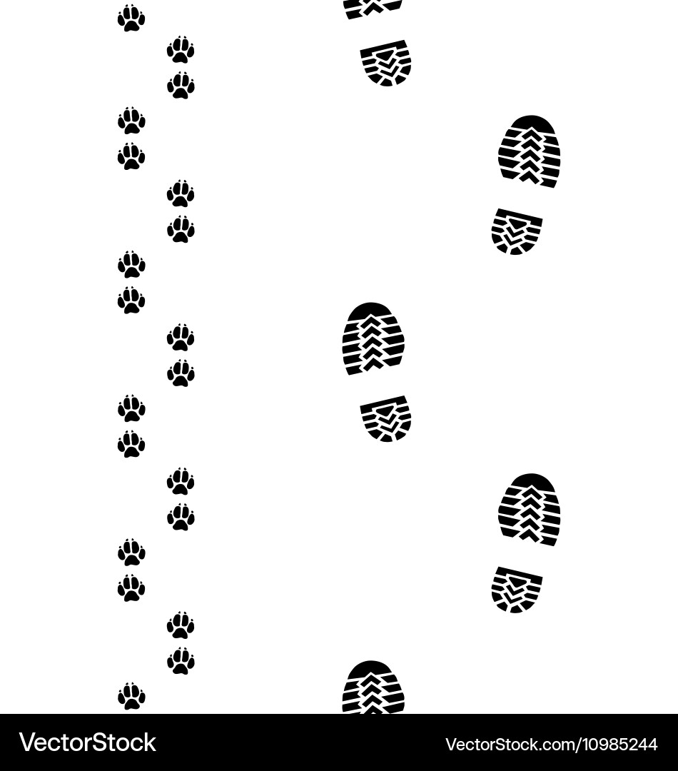 Dog Paw and Footprint Pattern Vector Image