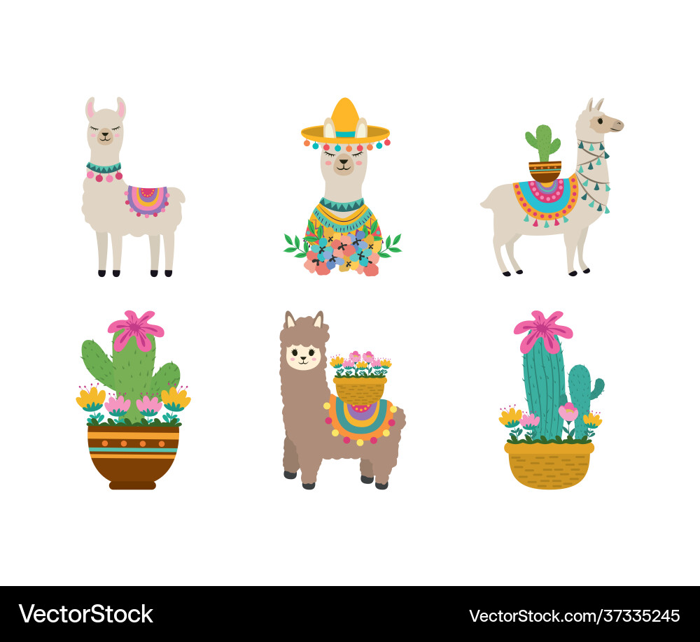 Adorable Llama Character Collection Vector Image