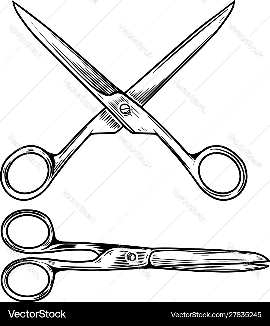Set of Scissors - Isolated vector image