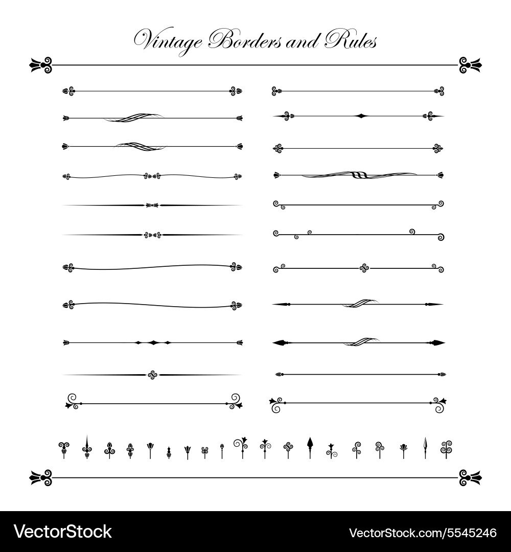 Elegant Line Border Elements vector image