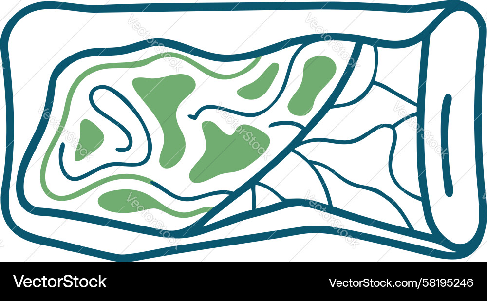 Fluid Organic Map Flow Pattern Vector Image