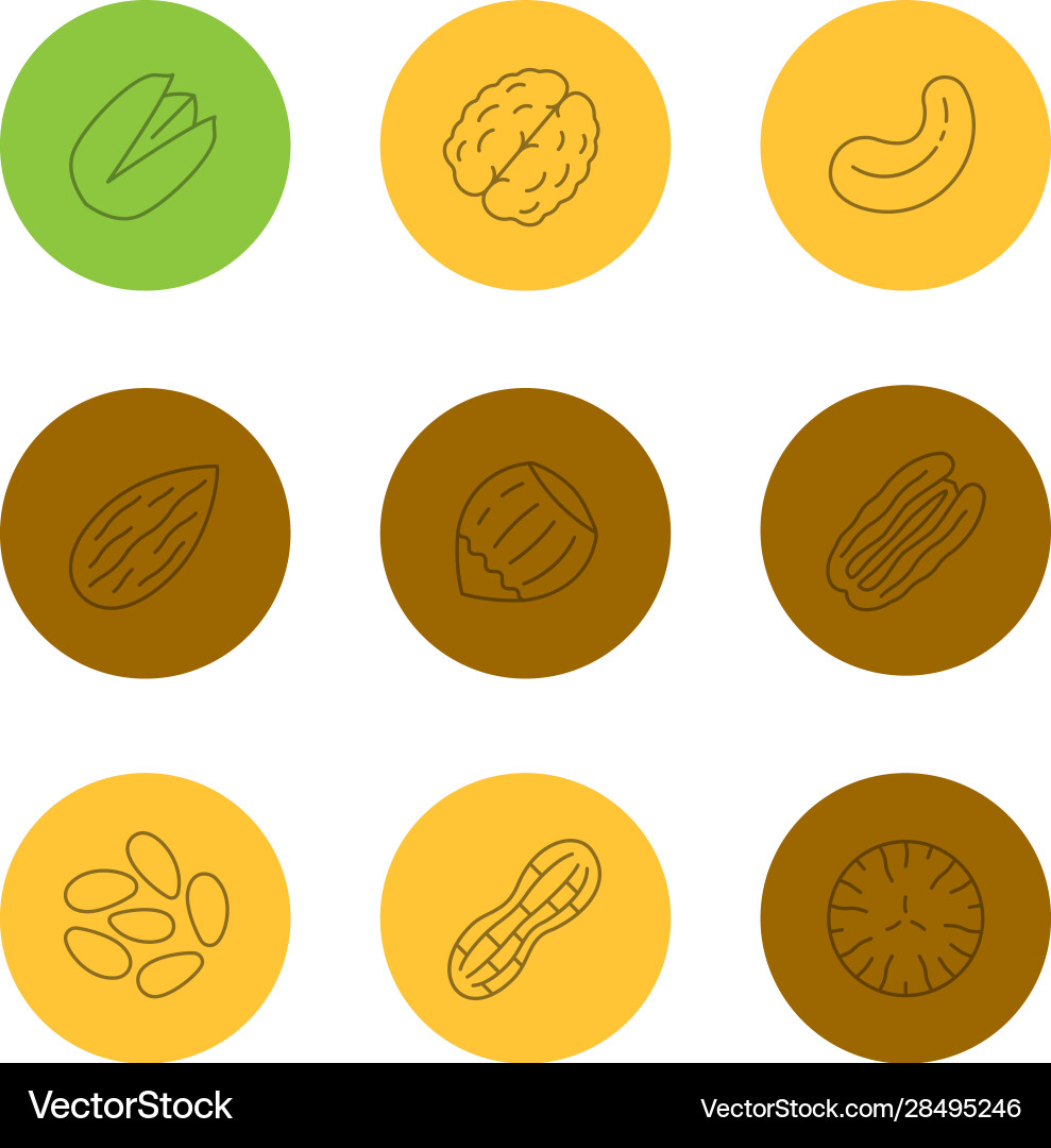 Nuts types linear icons set Vector Image
