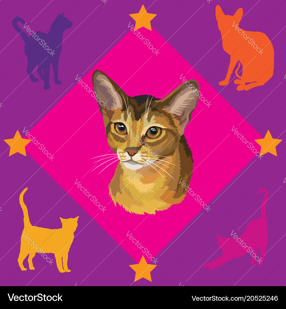 Seamless pattern with abyssinian cat Vector Image