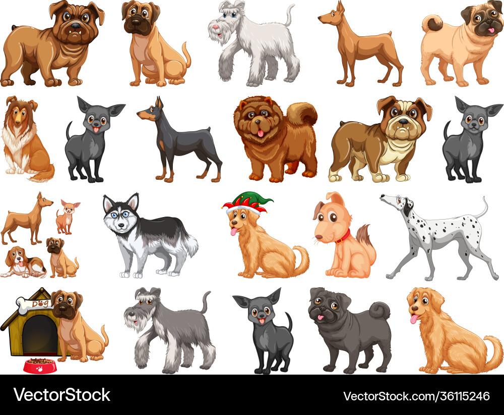 Verschiedene lustige Hunde im Cartoon Stil isoliert Verschiedene lustige Hunde im Cartoon Stil isoliert vektorbild