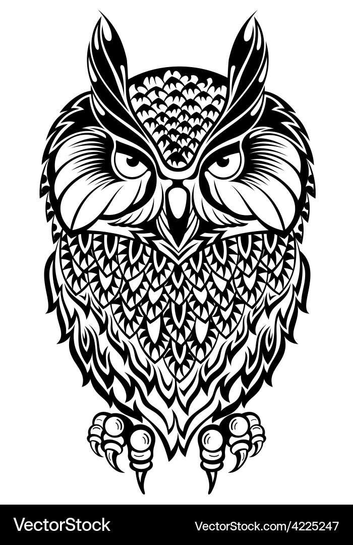 Owl Royalty Free Vector Image - VectorStock