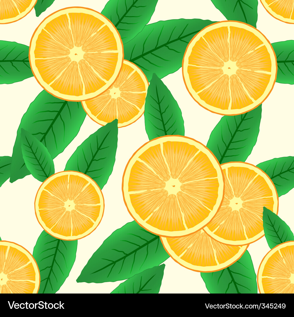 Citrus Slice Pattern Vector Image