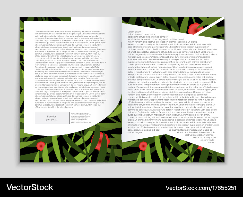 Abstract layout background set for art Vector Image