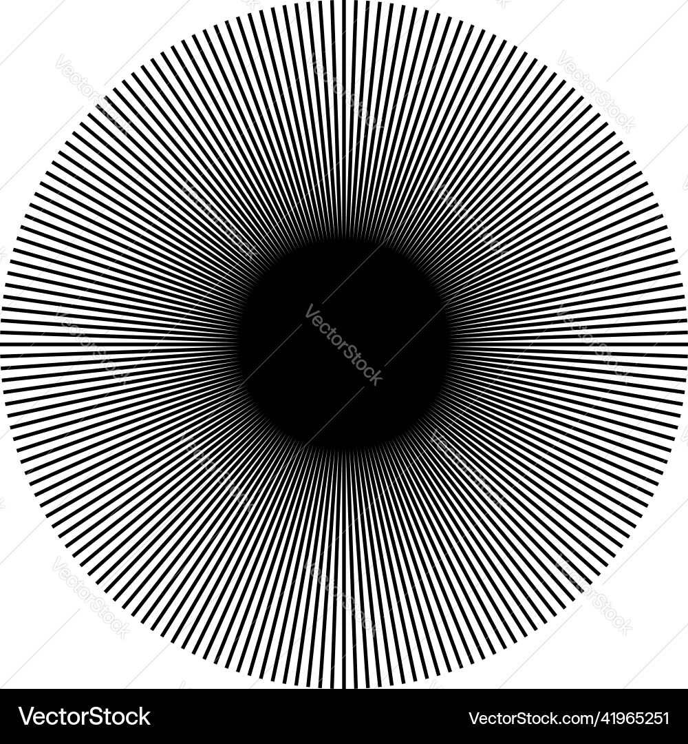 Radial radiating and converging lines stripes Vector Image