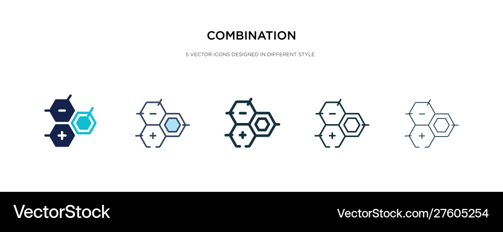 Combination icon in different style two colored Vector Image