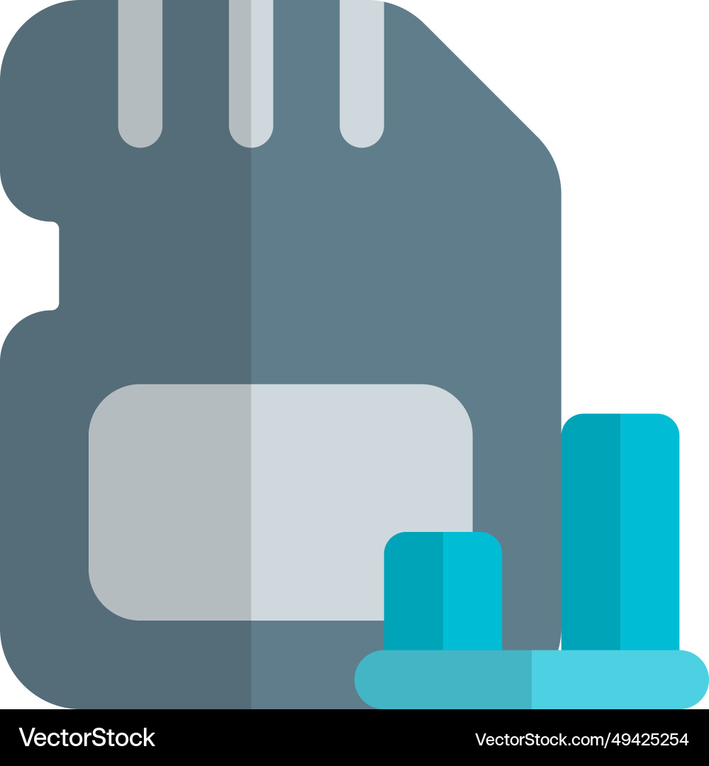 Data visualized on sd card in bar chart vector image