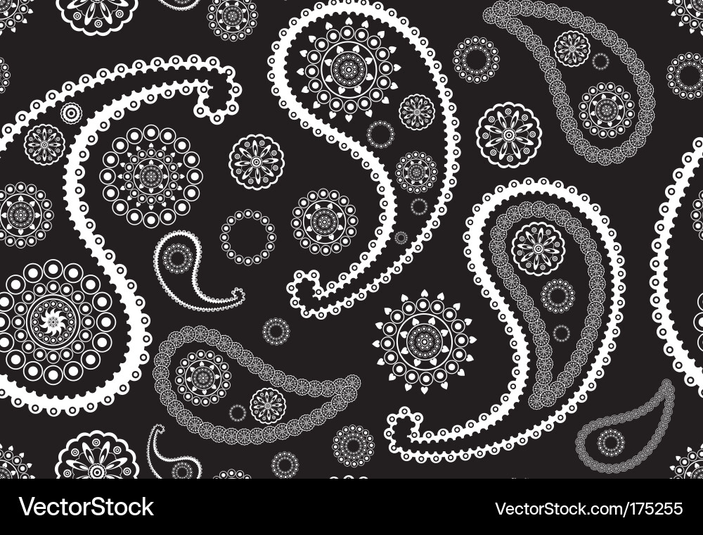 Retro Paisley Pattern vector image