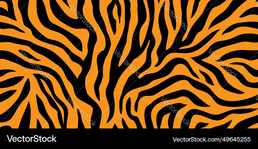 Tiger Stripe Pattern vector image