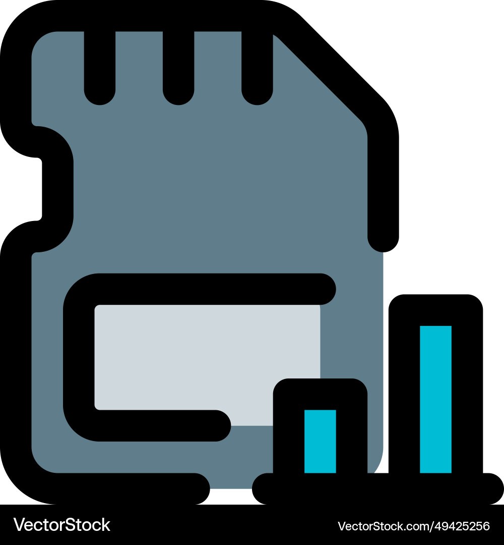 Data visualized on sd card in bar chart vector image