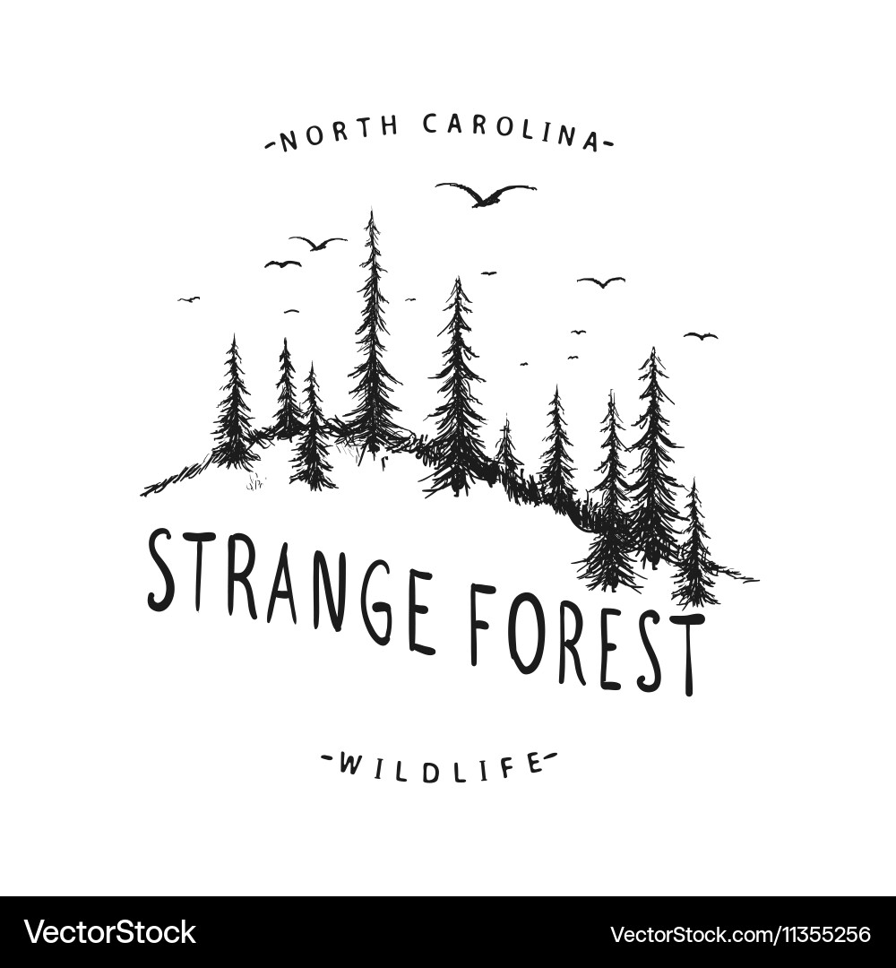 Graphic label with forest Royalty Free Vector Image