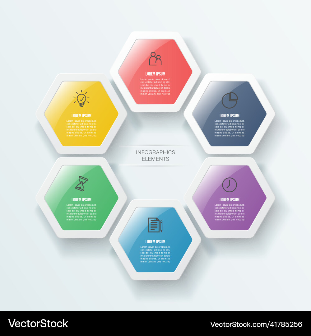 Infographics 6 options template vector image