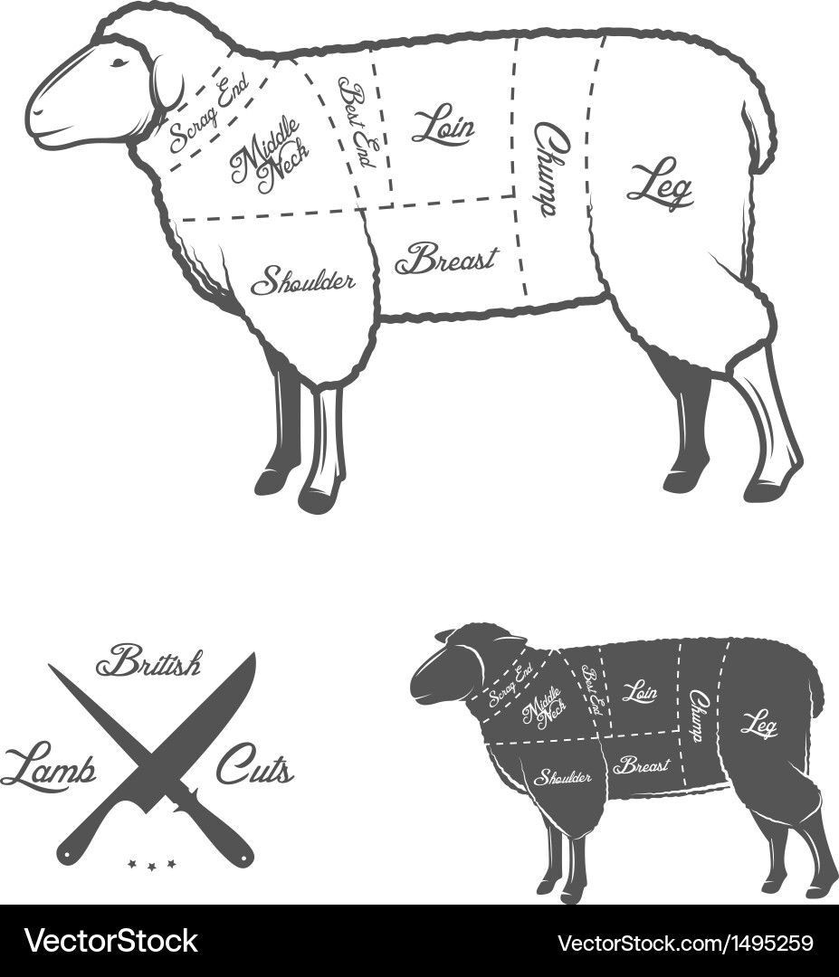 Lamb and Mutton Cut Diagram Vector Image