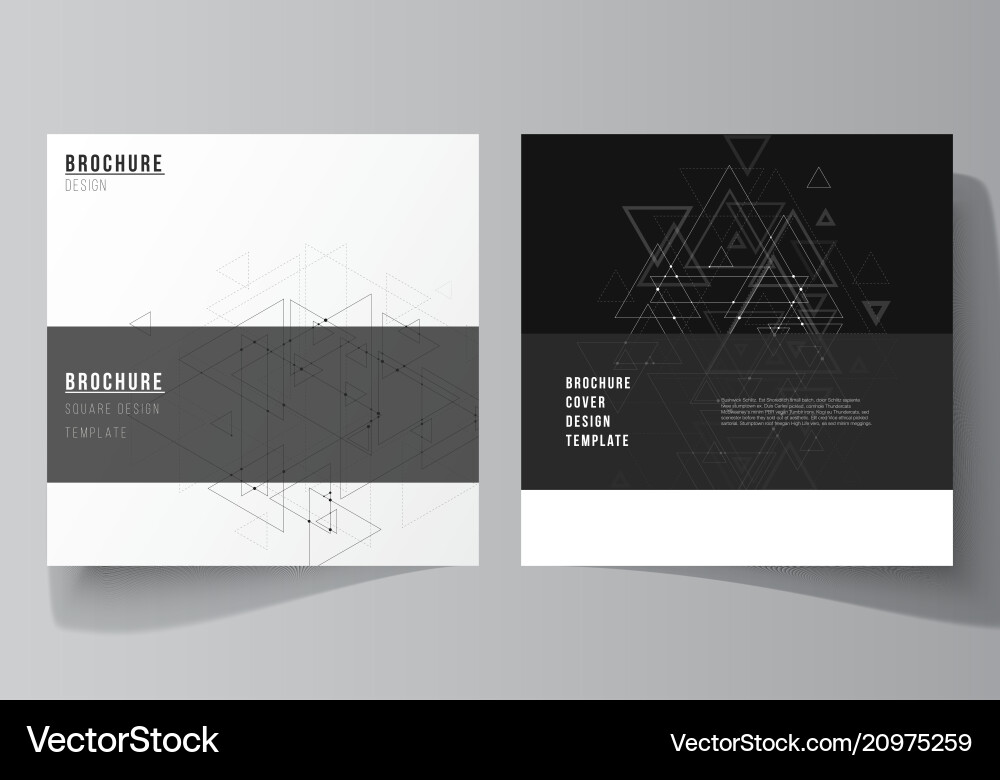 Minimal editable layout of two square Minimal editable layout of two square vector image