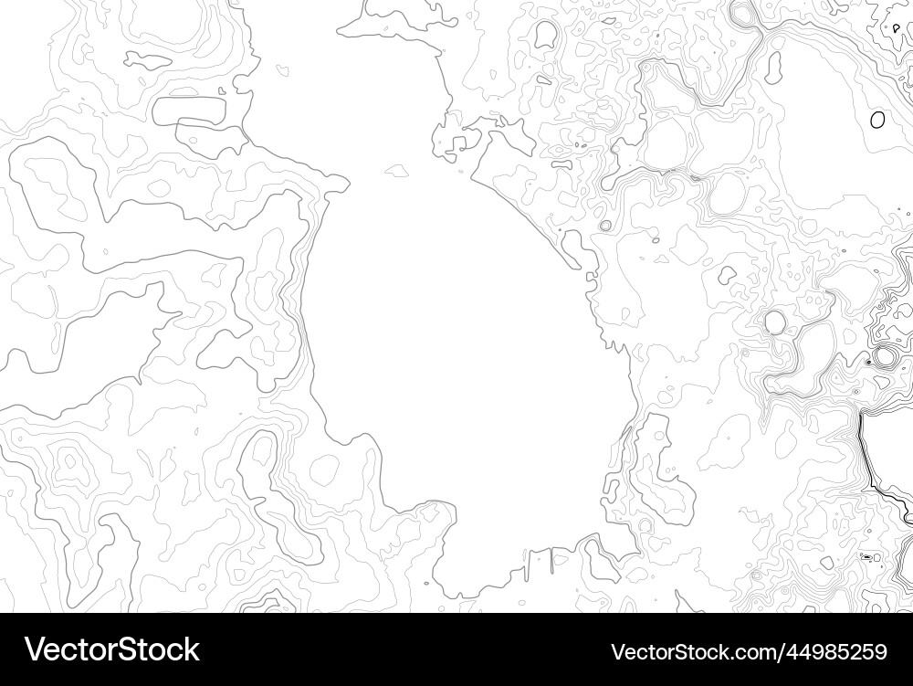 Topographic Contour Map Background vector image