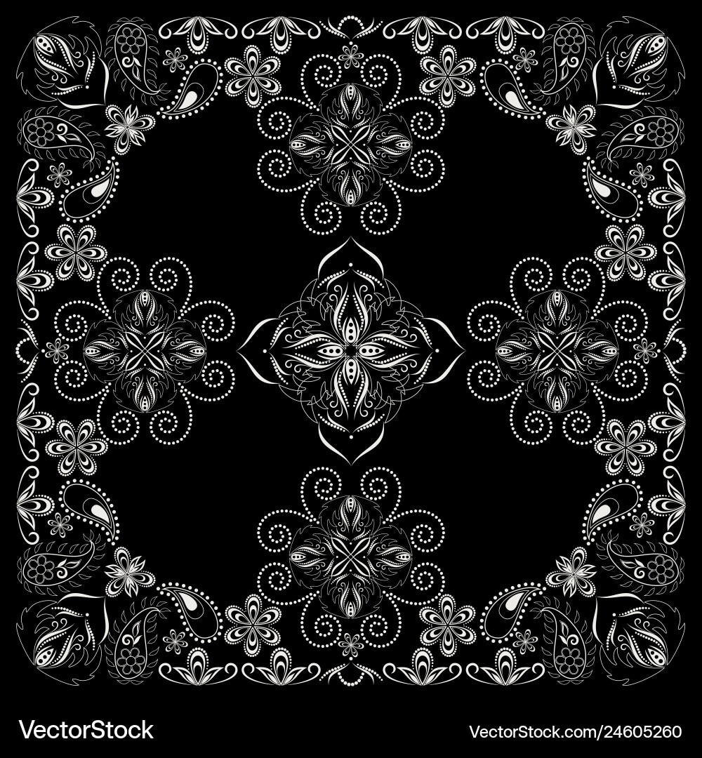 Black & White Paisley Bandana Vector Image