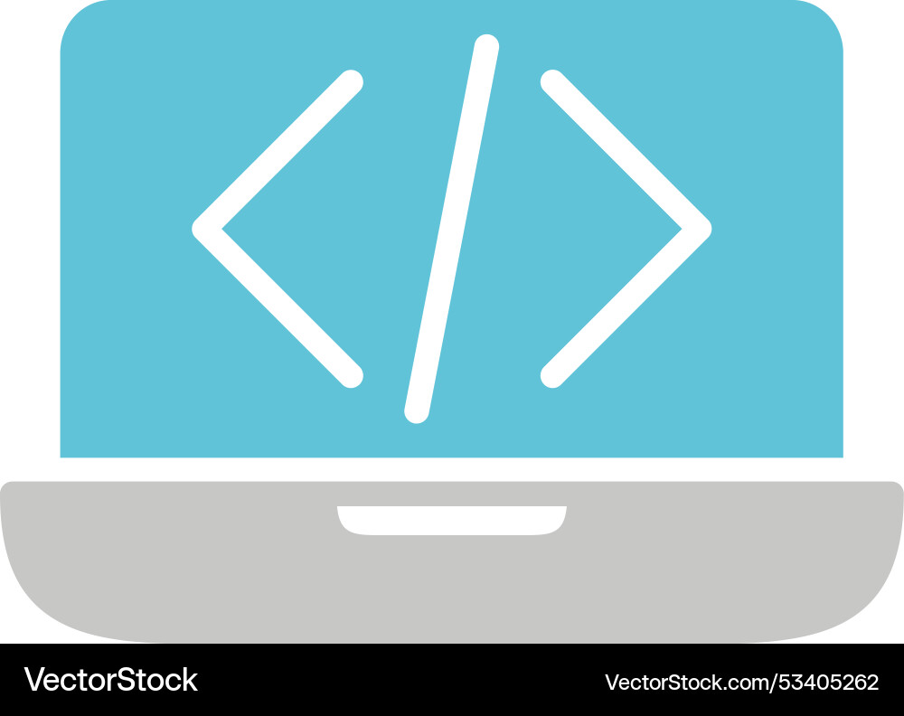 Coding glyph two colour icon Vector Image