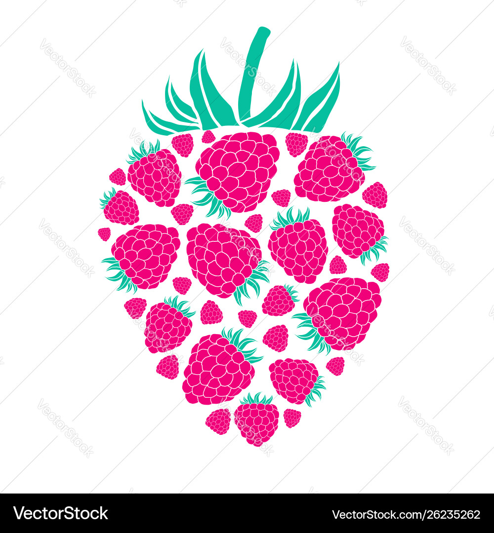 Isolated Raspberry Icon vector image