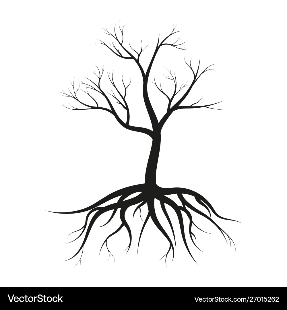 A tree without roots манхва. A tree without roots манхва