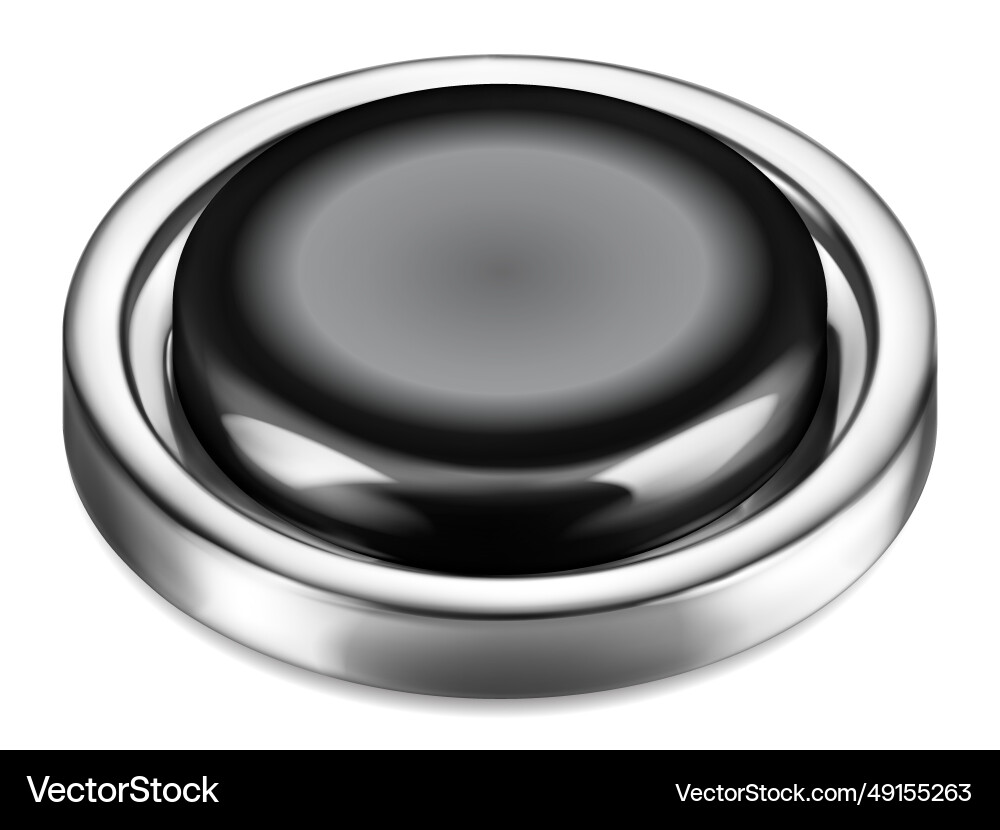 Shiny Metallic Plastic Button vector image