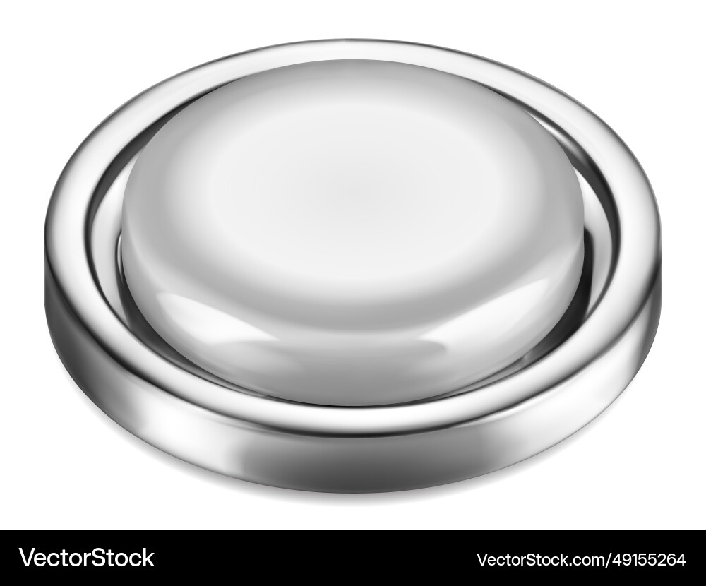Big button with metallic border Big button with metallic border vector image