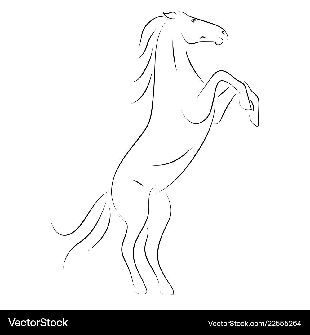 Elegant Black Horse on Hind Legs Vector Image