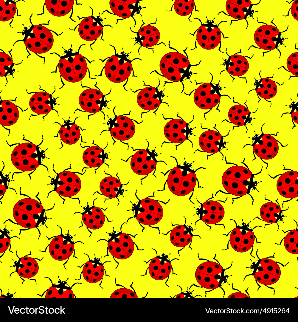 Ladybug pattern vector image